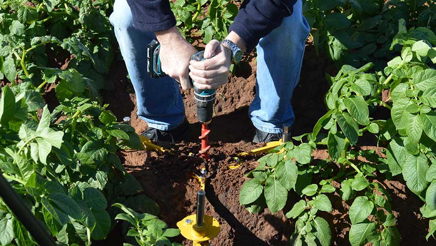 Soil probe